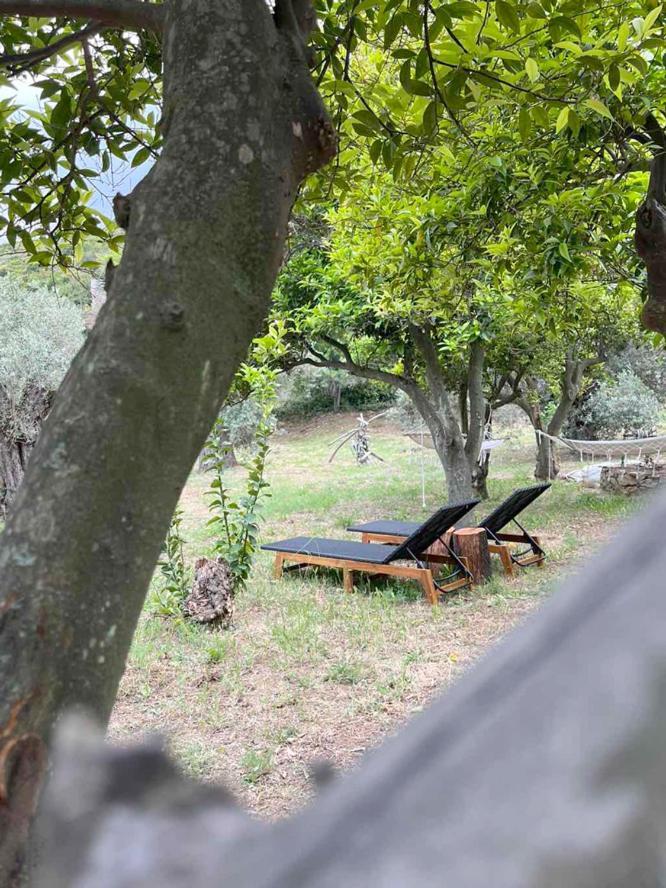 Lithea Villas And Studios By The Sea Agios Petros  Eksteriør bilde