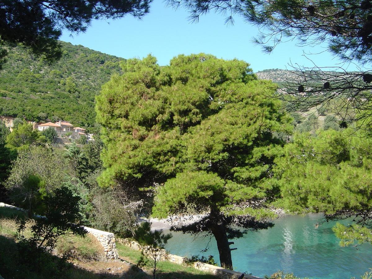Lithea Villas And Studios By The Sea Agios Petros  Eksteriør bilde